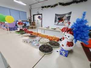 “多國風(fēng)采、別具風(fēng)格”的的圣誕節活動(dòng)